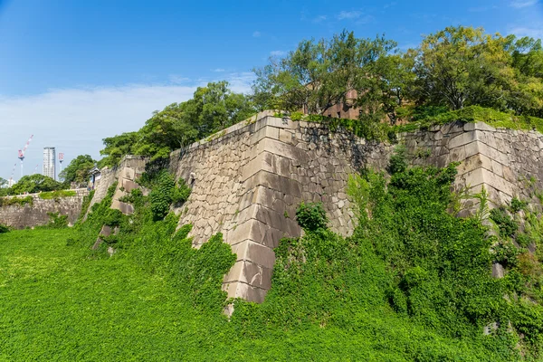 Turm der Osaka-Burg mit Algen — Stockfoto