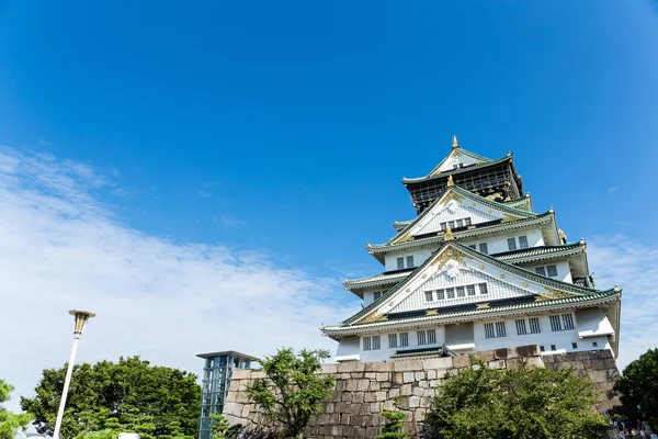 日本的松香城堡 — 图库照片