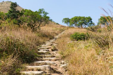 Lantau en yüksek Dağı'nda