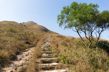 Sonbahar Lantau tepe 