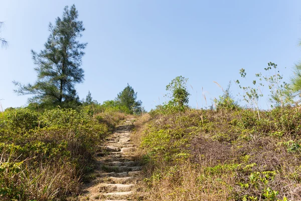 Höstlandskap berget kullar — Stockfoto