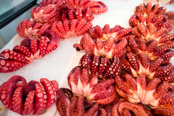Красные осьминоги на рынке — стоковое фото
