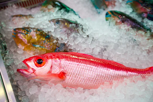 Fresh fish in wet market — Stock Photo, Image