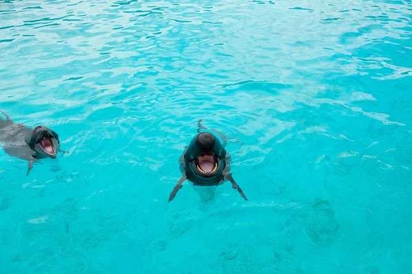 Dolphin and Whale in aquarium — Stock Photo, Image