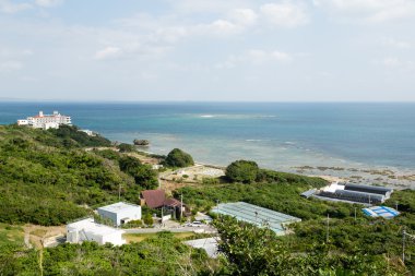 Okinawa Adası köyde
