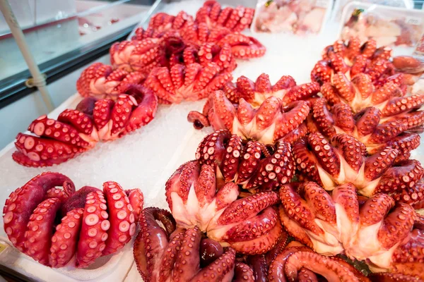 Chobotnice v trhu s potravinami — Stock fotografie