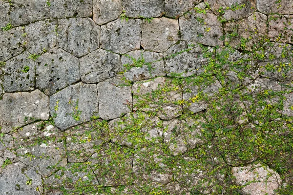 Stone wall texture — Stock Photo, Image