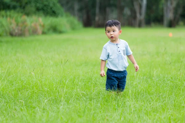 Carino asiatico piccolo ragazzo — Foto Stock