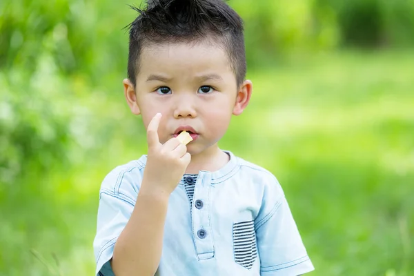 Schattige Aziatische kleine jongen — Stockfoto