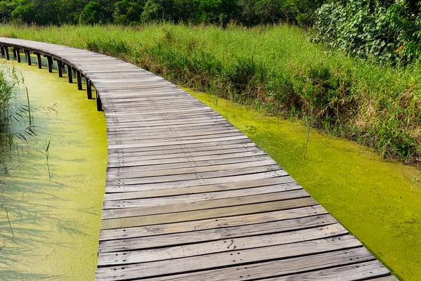 Pont en bois sur la rivière — Photo