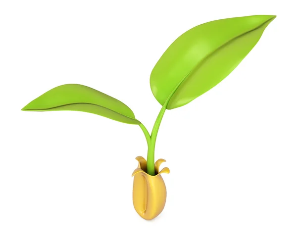 Growing plant — Stock Photo, Image