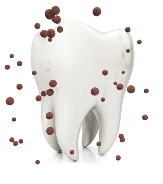 Dentes e germes — Fotografia de Stock