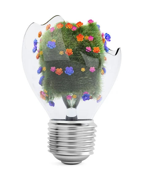 Nefunkční žárovku s trávou a květinami — Stock fotografie