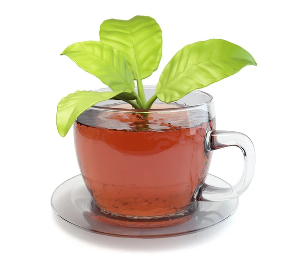 Xícara de chá com folhas — Fotografia de Stock