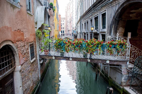 Venedik. Komşu evler arasında köprü dekore edilmiş wi — Stok fotoğraf