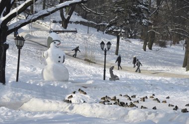 Kış. Çocuk dağdan tatil binmek..