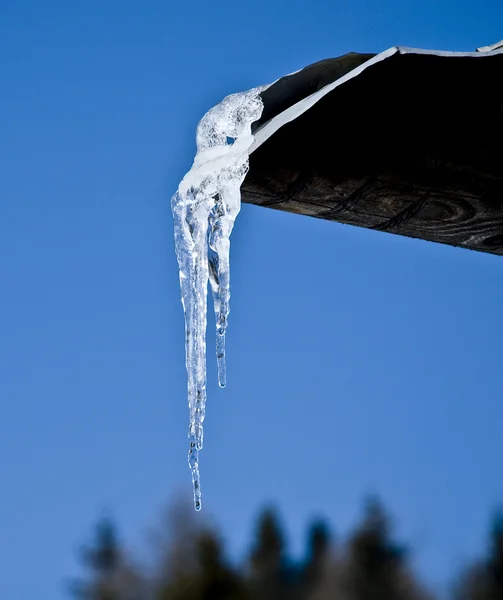 Buz sarkıtları bir evin çatısında güneş tezcan