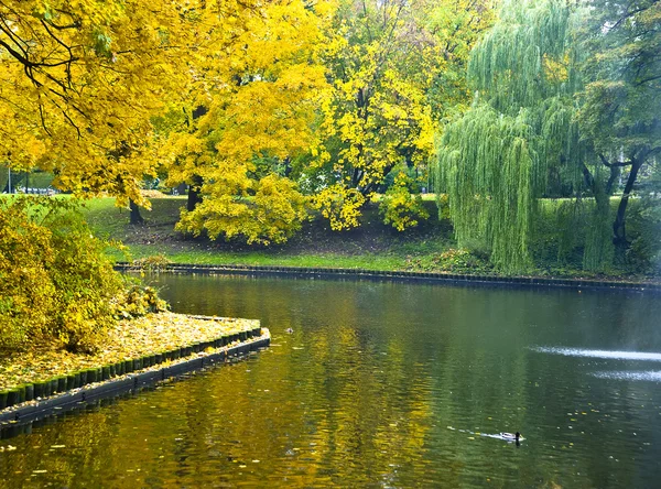 Осенний пейзаж на городском канале в Риге — стоковое фото