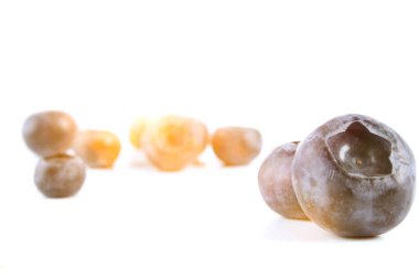 Yaban mersinleri bir stüdyoda kapanıyor.