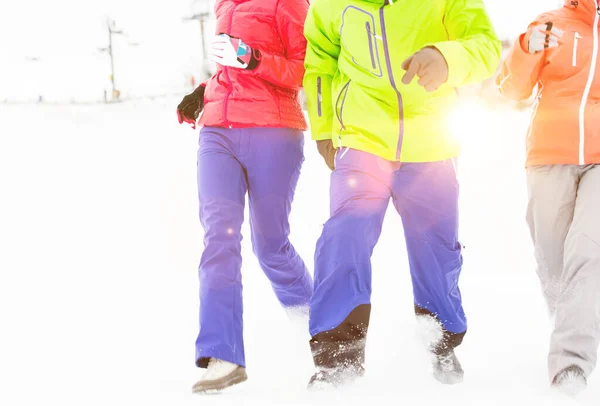 Два Человека Наслаждаются Зимним Солнцем Лыжах — стоковое фото