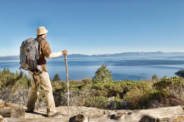 Rear Shot Young Man Hiking Pole Coastal Track — Stock Photo, Image