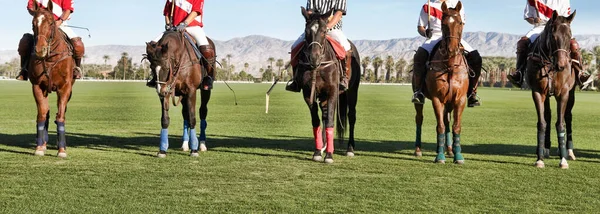 Joueurs Polo Arbitre Montés Sur Chevaux Sur Terrain — Photo