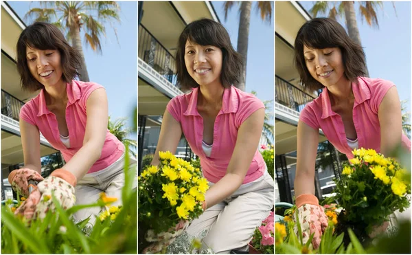 Retrato Colagem Mulher Jardinagem Durante Confinamento — Fotografia de Stock