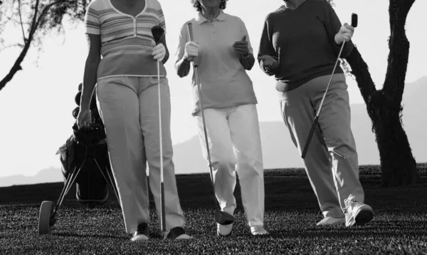 Photo Noir Blanc Des Golfeurs Seniors — Photo