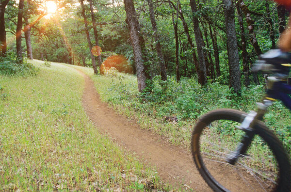 Blurred Motion Biker Riding Forest Trail Royalty Free Stock Photos