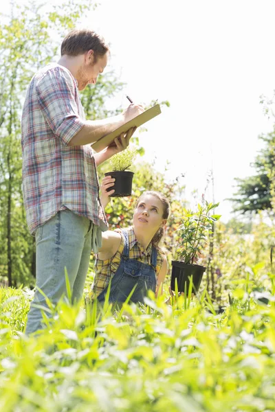 Gardener showing potted plants — Stock Photo, Image