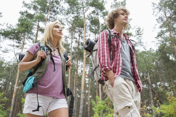 Paar weg op zoek in bos — Stockfoto