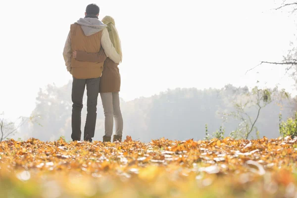 Pareja mirando algo — Foto de Stock