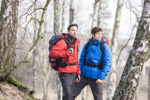 Excursionistas de pie en el bosque — Foto de Stock