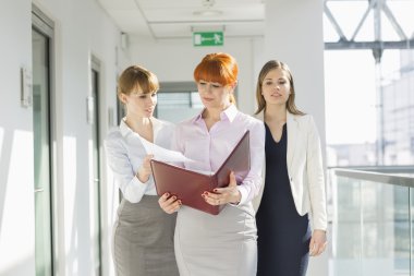 Belgeler üzerinde tartışırken iş kadınları