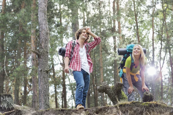 Caminhadas casal fazendo uma pausa — Fotografia de Stock