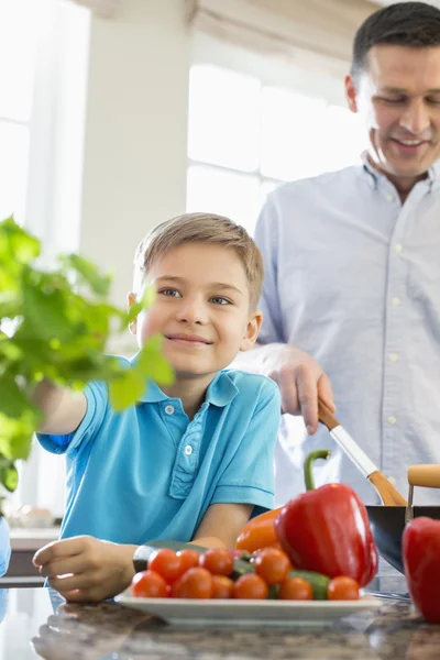 Lachende jongen aanraken kamerplant — Stockfoto