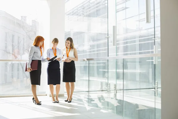 Businesswomen discussing something — Stock Photo, Image