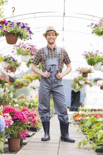 Jardinero de pie en invernadero — Foto de Stock