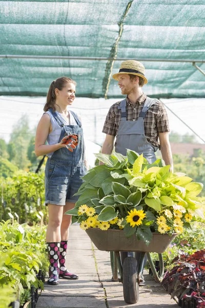 Smiling gardeners discussing — Stock Photo, Image