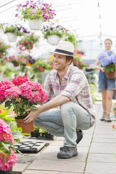 Gardener holding flower pot — Stock Photo, Image