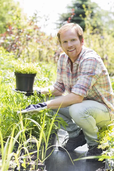 Homme tenant une plante en pot — Photo