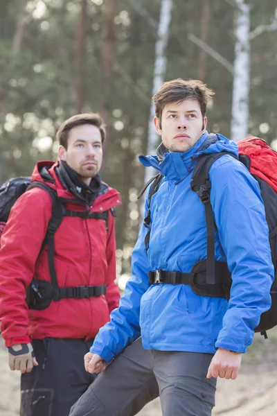 Escursionisti in piedi nella foresta — Foto Stock