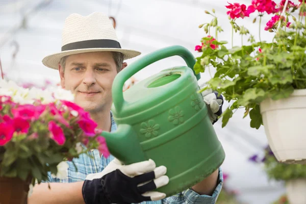 Homme arrosant des plantes de fleurs — Photo