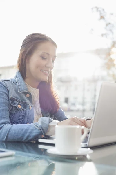 Frau benutzt Laptop — Stockfoto