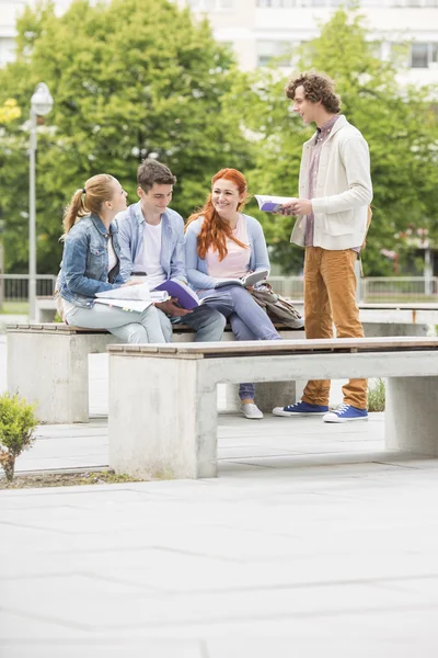 Amici che studiano insieme — Foto Stock