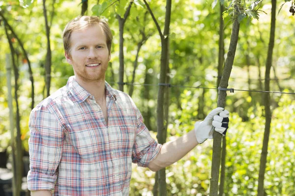 Tuinman permanent op plant kwekerij — Stockfoto