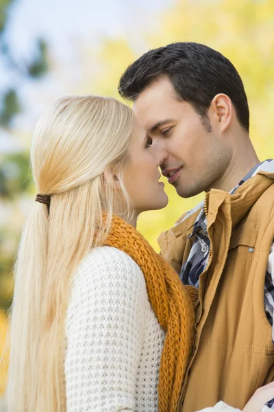 Пара целуется в парке — стоковое фото