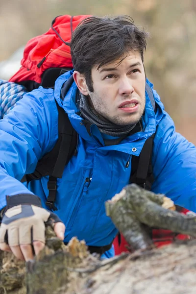 Backpacker hiking in forest — Stock Photo, Image