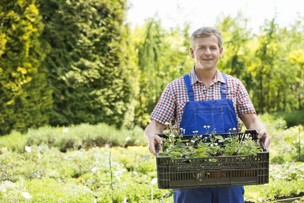Man holding crate of potted plants — Stock Photo, Image