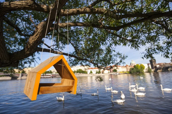 Birdhouse colgando de un árbol — Foto de Stock